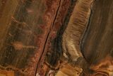 Marra Mamba Tiger's Eye Slab - Mt Brockman ( Billion Years) #216742-1